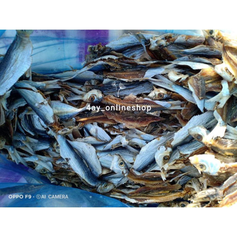 [1kg] Readystock Ikan Kering Masin Tamban Belah Shopee Malaysia