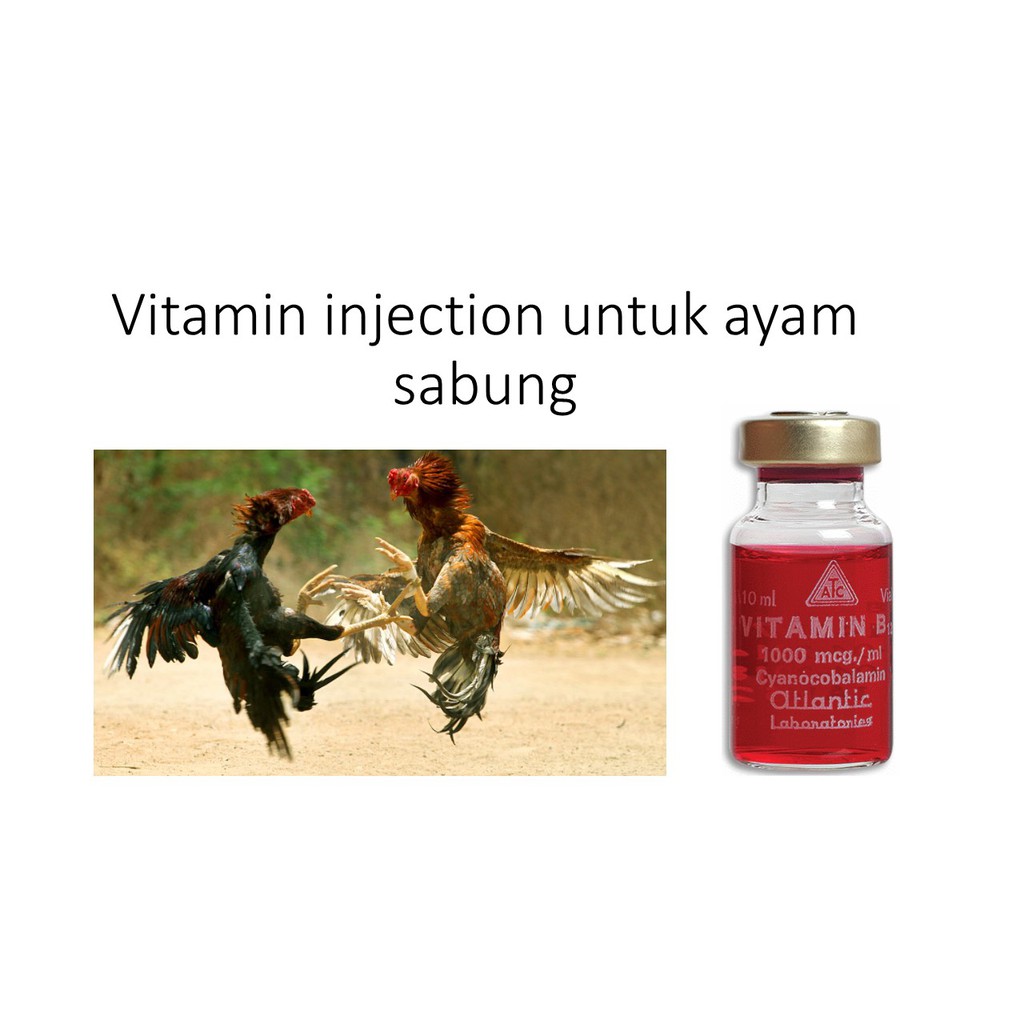 vitamin inject untuk ayam sabung 10ml ..  Shopee Malaysia