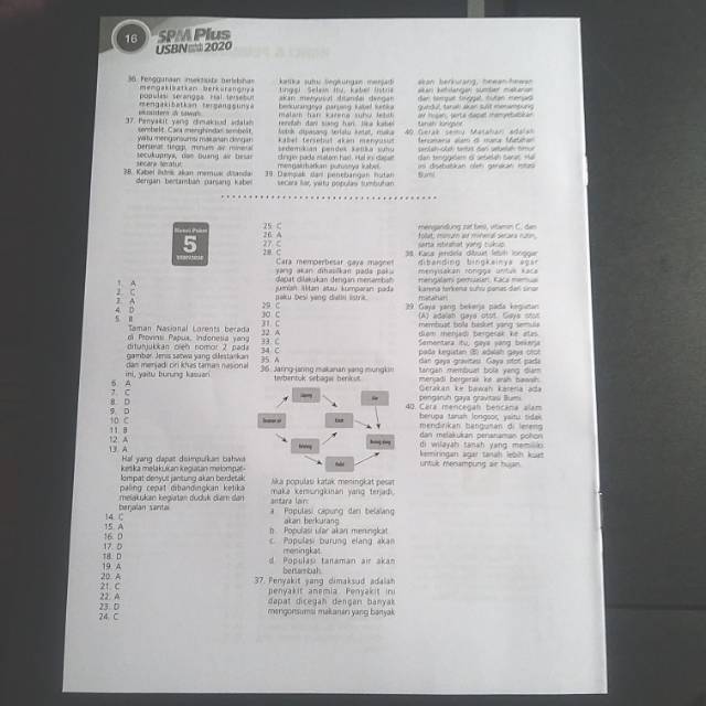 Kunci Jawaban Spm Plus 2020 Bahasa Indonesia Paket 2 Jurus Soal