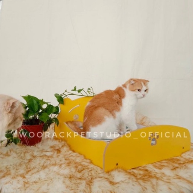 Buy Cat Bed (Katil kucing) yello colour  SeeTracker Malaysia