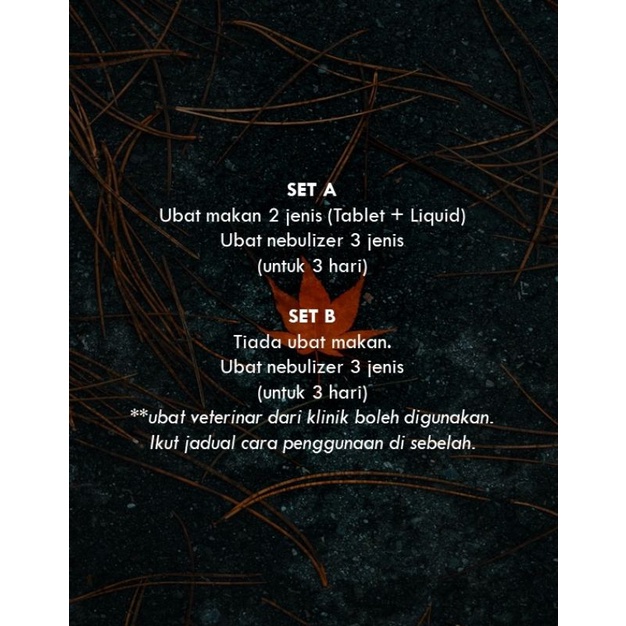 Cat Nebulizer For 3 Days Ubat Sahaja Mesin Tidak Dibekalkan Shopee Malaysia