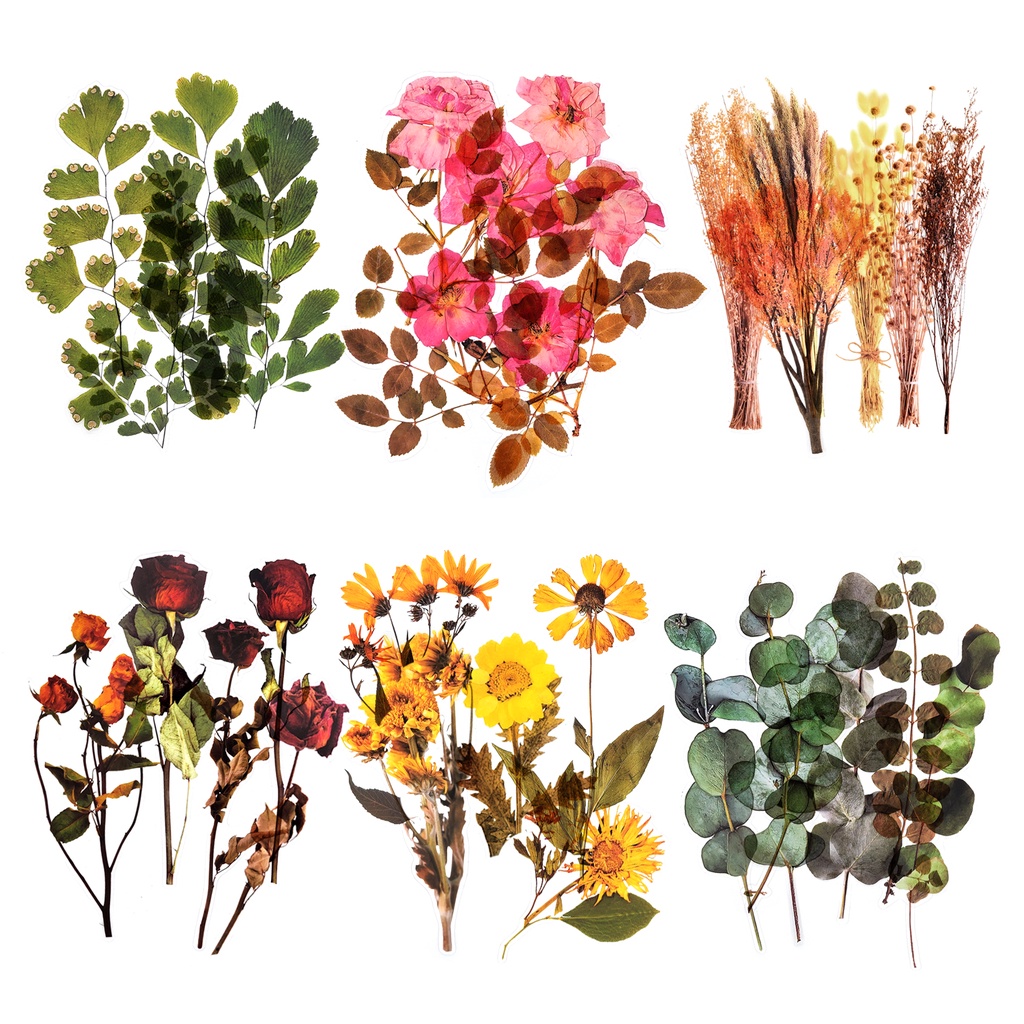 Mayplous 6 Packs Scrapbook Sticker Big Size Wall Sticker Plastic Flower