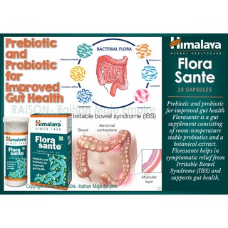Bnature Prebiotic Probiotics Capsule Shopee Malaysia
