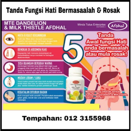 Kapsul Mte Dandelion Milk Thistle Afdhal Tonik Hati Liver Kanser Cancer Fighter Penawar Masalah Organ Hati Rosak Shopee Malaysia