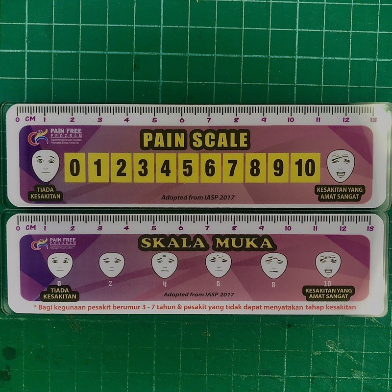 pain score pain scale ruler skala kesakitan pembaris shopee malaysia