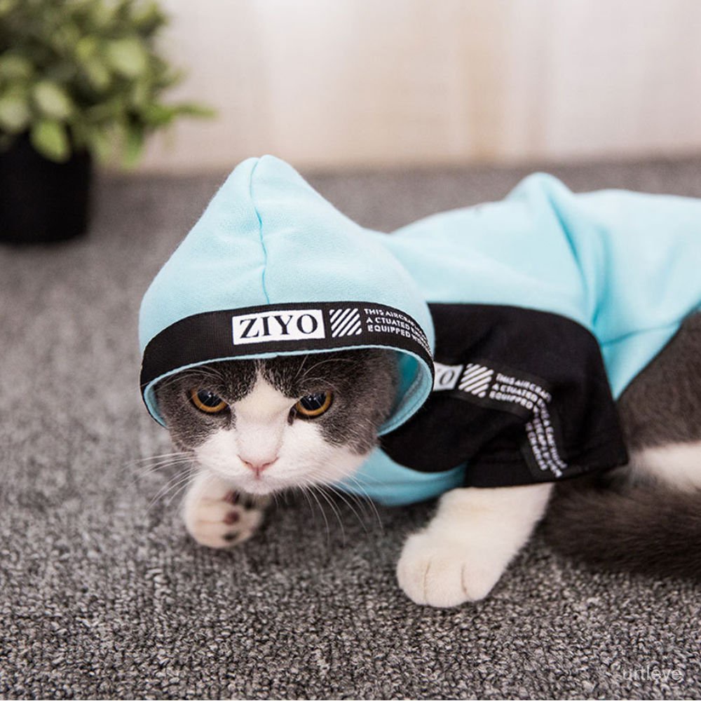 英短两脚衣薄款幼猫春秋款春夏clothing猫咪潮流卫衣服装服饰衣服宠物布偶pet Shopee Malaysia