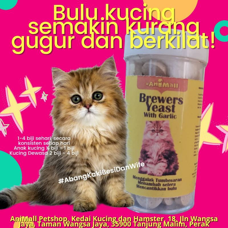 🔥FAST SELLING🔥 BREWERu0027S YEAST MENAIKKAN SELERA MAKAN KUCING