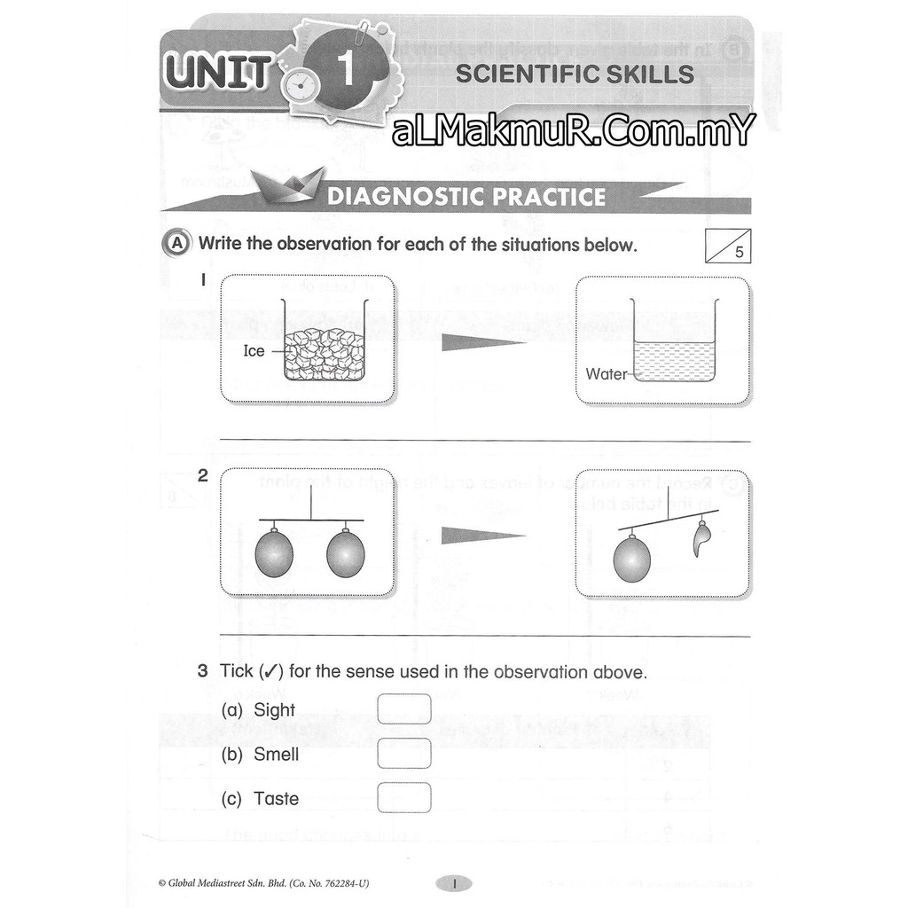 dlp science year 1 worksheet ks1 fun maths worksheets primary school