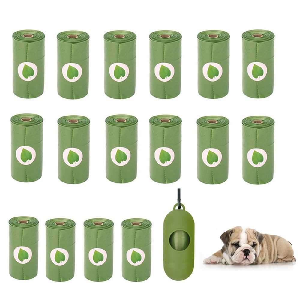 Why Is My Dog Leaking Poop