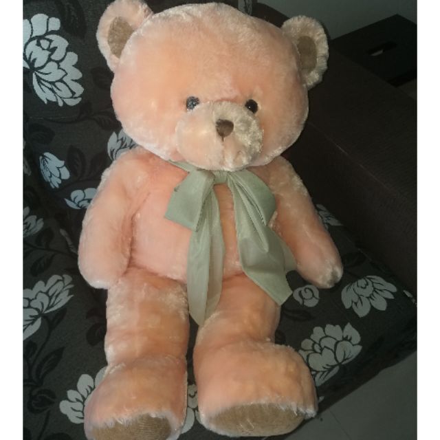 teddy bear kaison