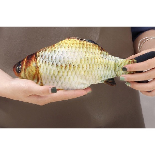 READYSTOCK Dancing Fish Jumping Fish Toy Mainan Kanak READYSTOCK Dancing Fish Jumping Fish Toy Mainan Kanak
