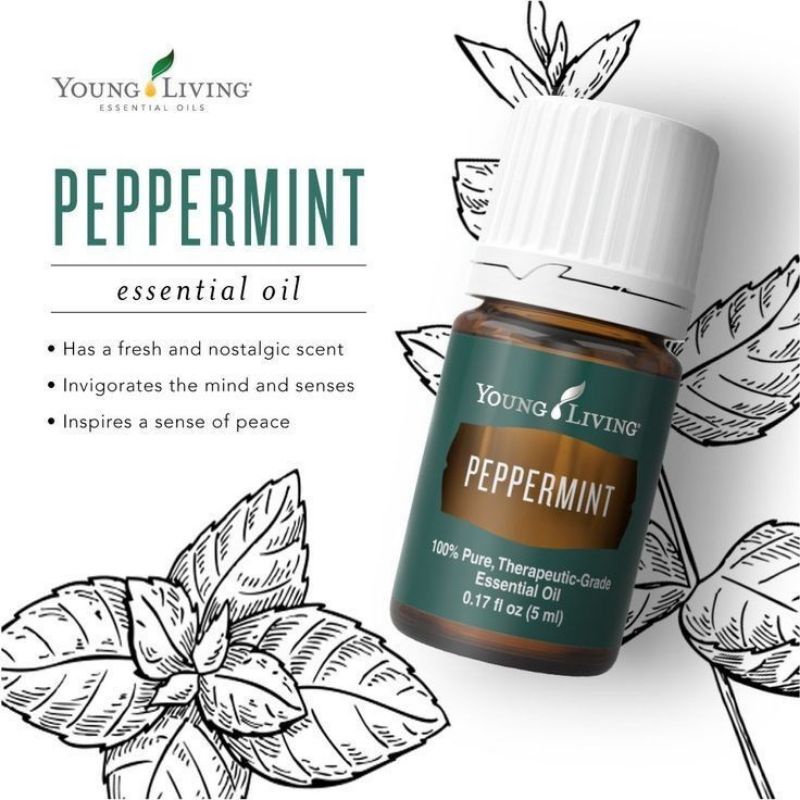 Peppermint young living manfaat
