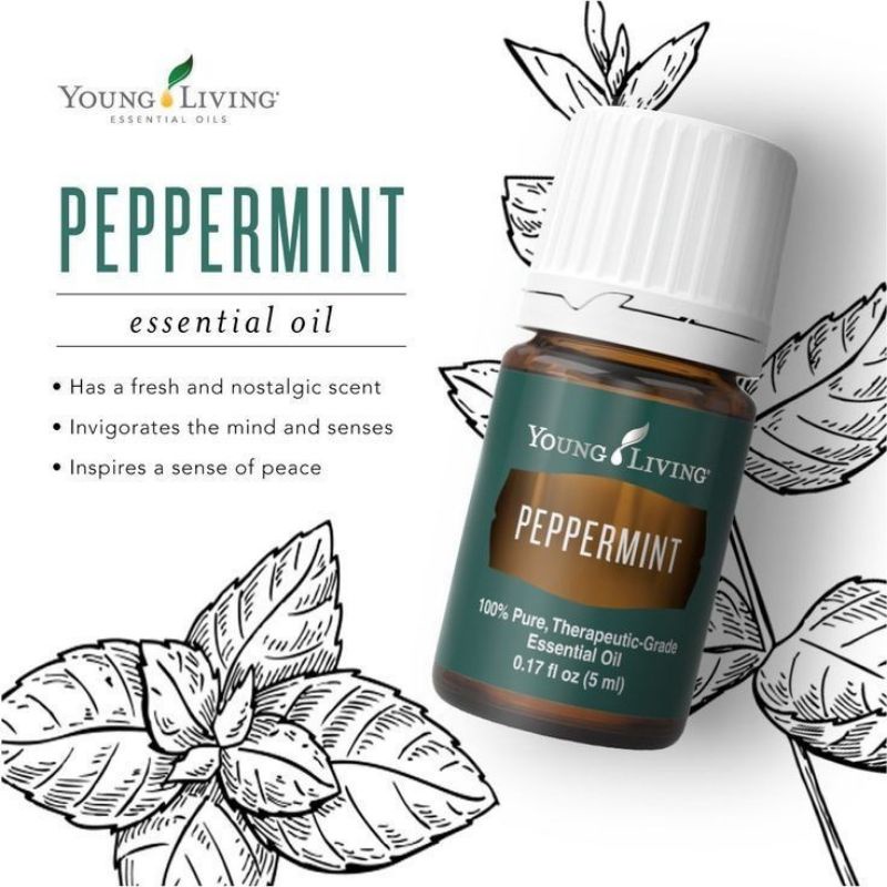 Buy Original Eo Peppermint Young Living Seetracker Malaysia