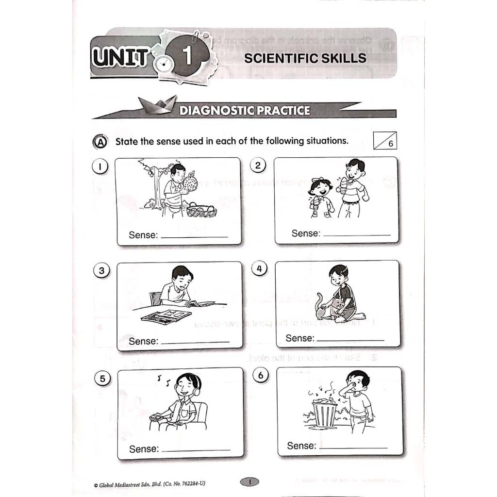 Dlp Science Year 1 Exam Paper Leah North