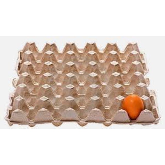 Buy Sarang Telur, Bekas Telur, Egg Pulp, Terpakai Ready Stock 