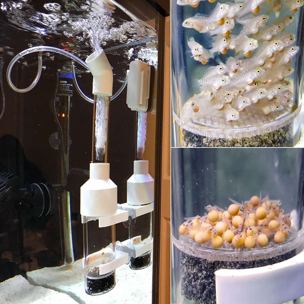 Aquarium Cichlids Fish Egg Incubator Tumbler Fish Hatchery Mouth