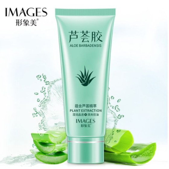 aloe vera plant moisturizer