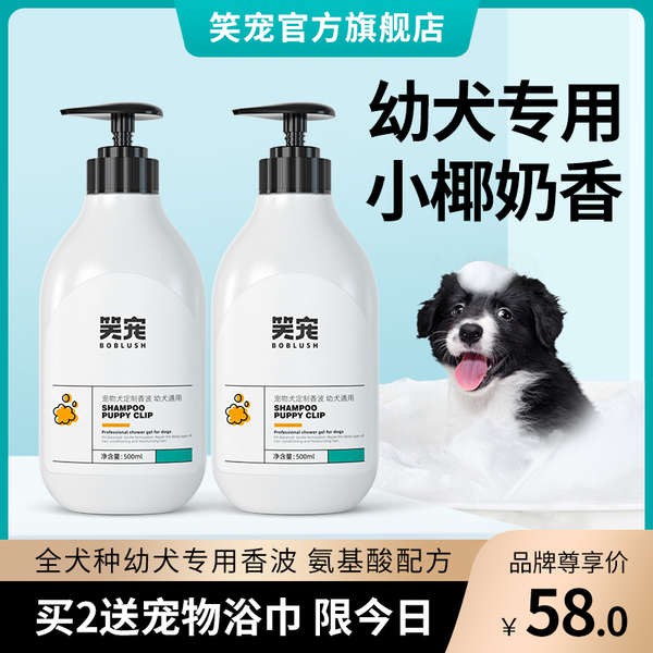 Can A Dog Take A Bath After Deworming