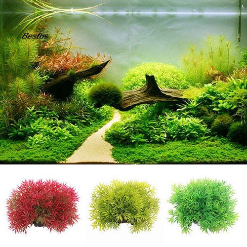 best aquarium ornaments