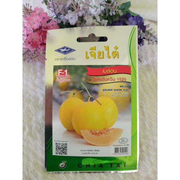 BIJI BENIH GOLDEN MELON pack kecil.. tanam suka suki belakang rumah jerr ..