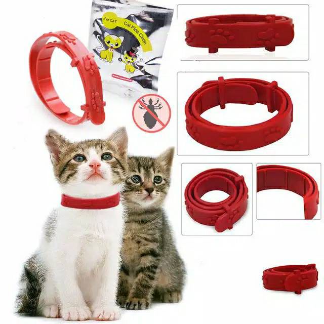 Anti-flea necklace for cats, flea medicine, cat toys