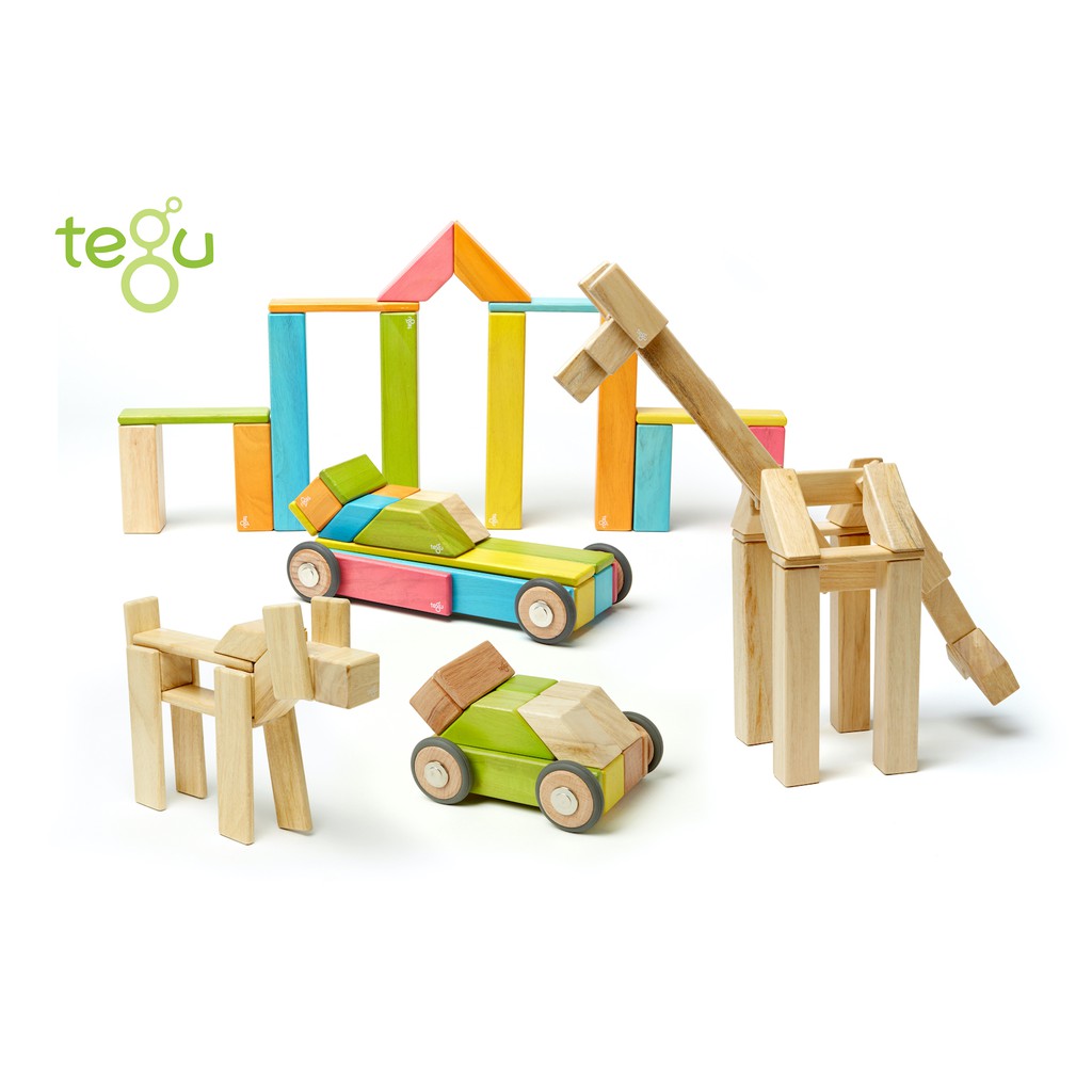 tegu wood blocks