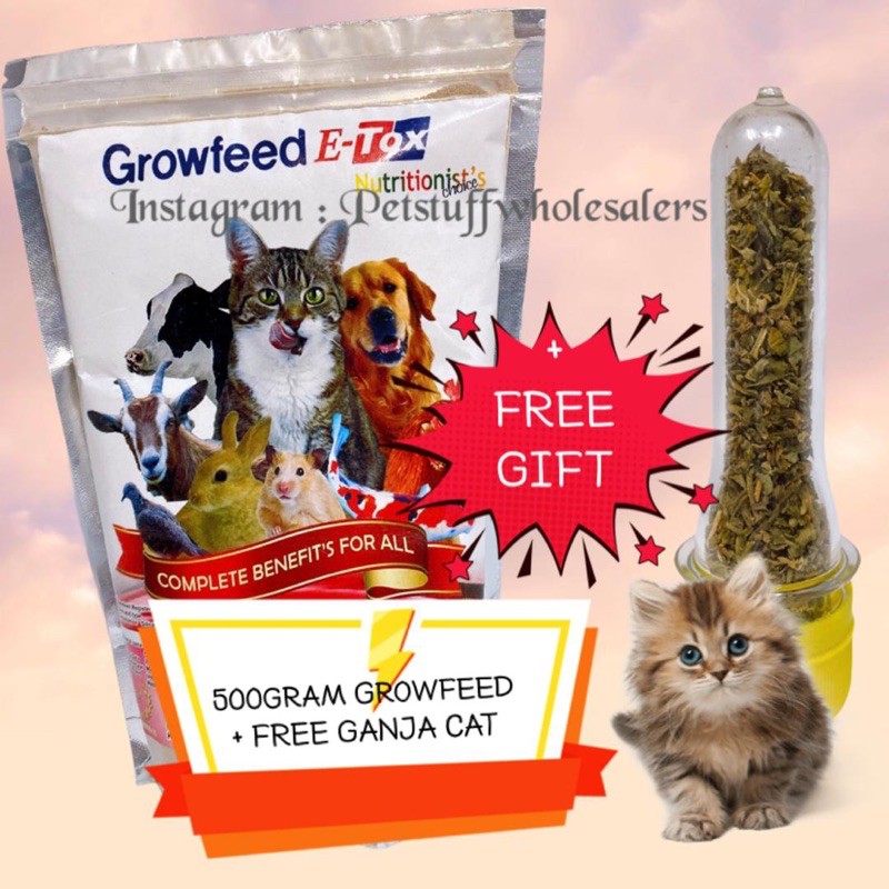 Buy GROWFEED Pek Besar Hilangkan Bau Najis Kucing  SeeTracker 