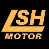 Lian Seng Heng Motor store logo