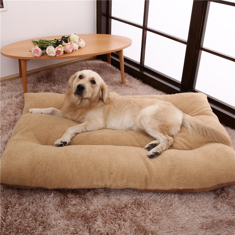 washable dog mat