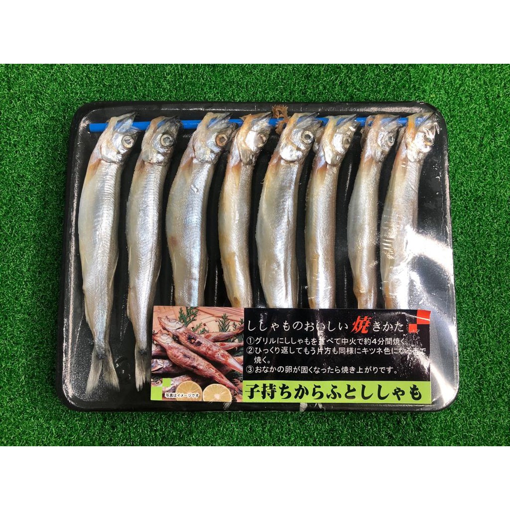 Fisherprise Frozen Capelin Shishamo 多春鱼 150g Shopee Malaysia