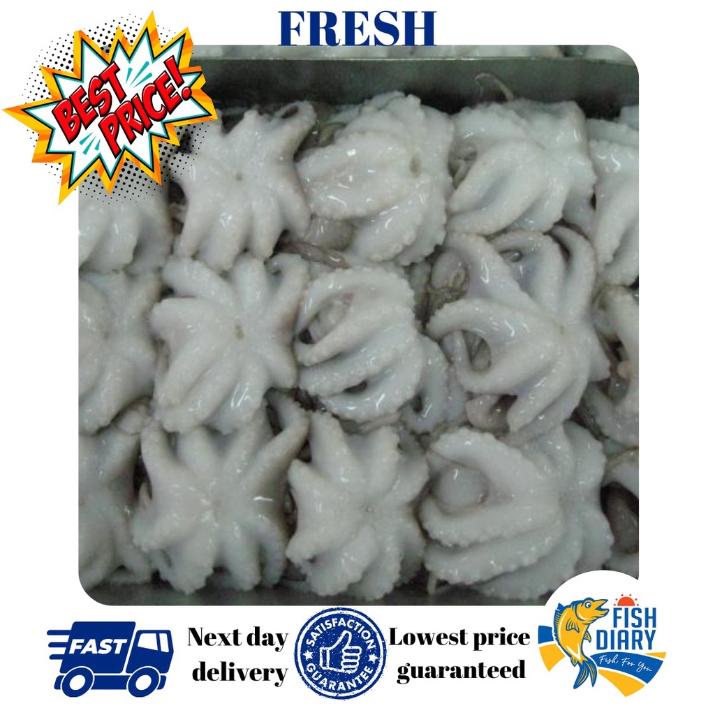 【Penang area only】Baby Octopus 小章鱼/八爪鱼  -300g/ Pack (FREE DELIVERY PENANG for purchase RM120+)