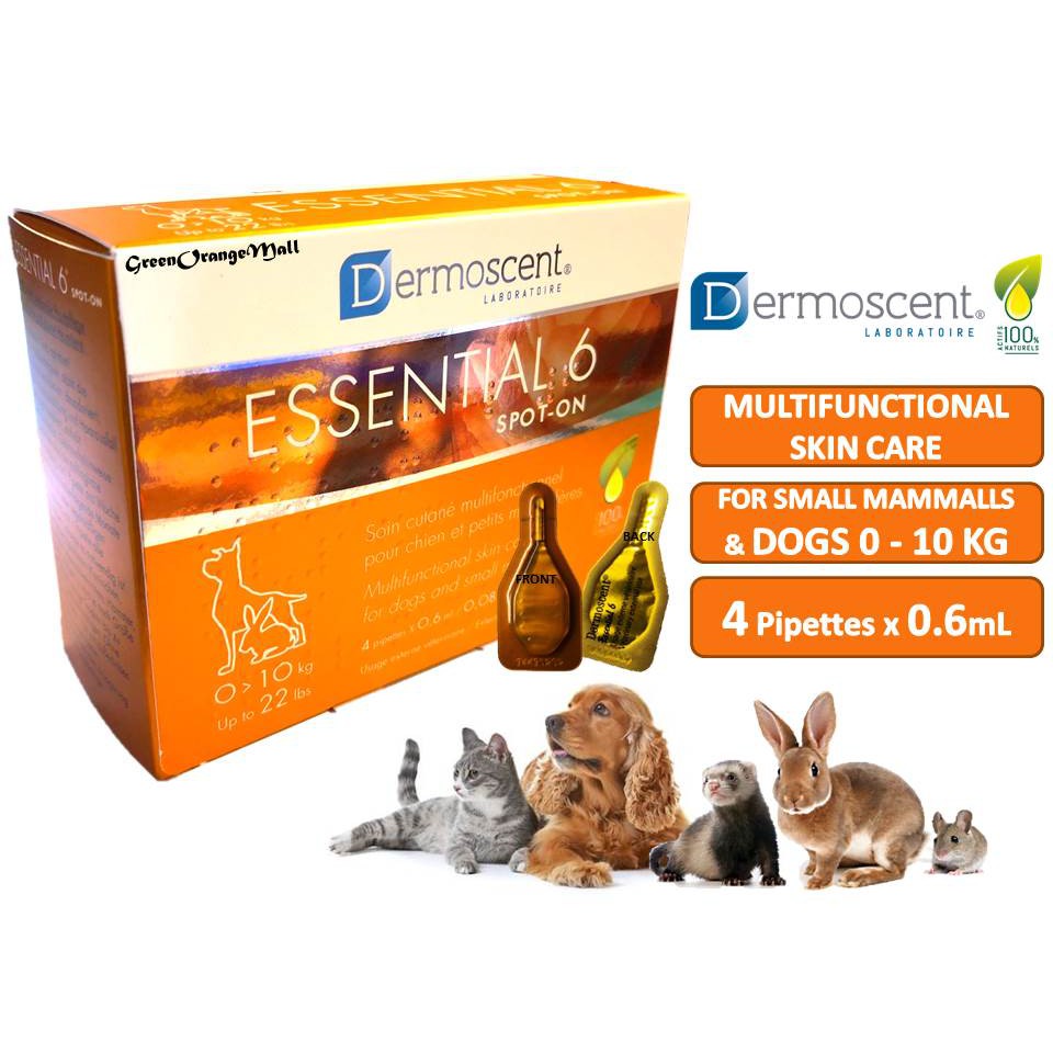 dermoscent essential 6 for dogs