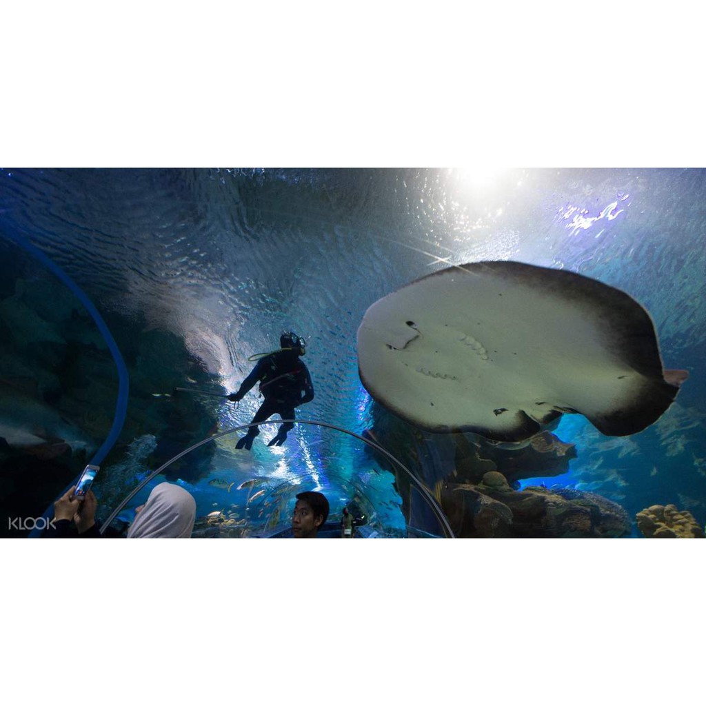 AQUARIA KLCC Kuala Lumpur Ticket (Foreigner) Shopee Malaysia