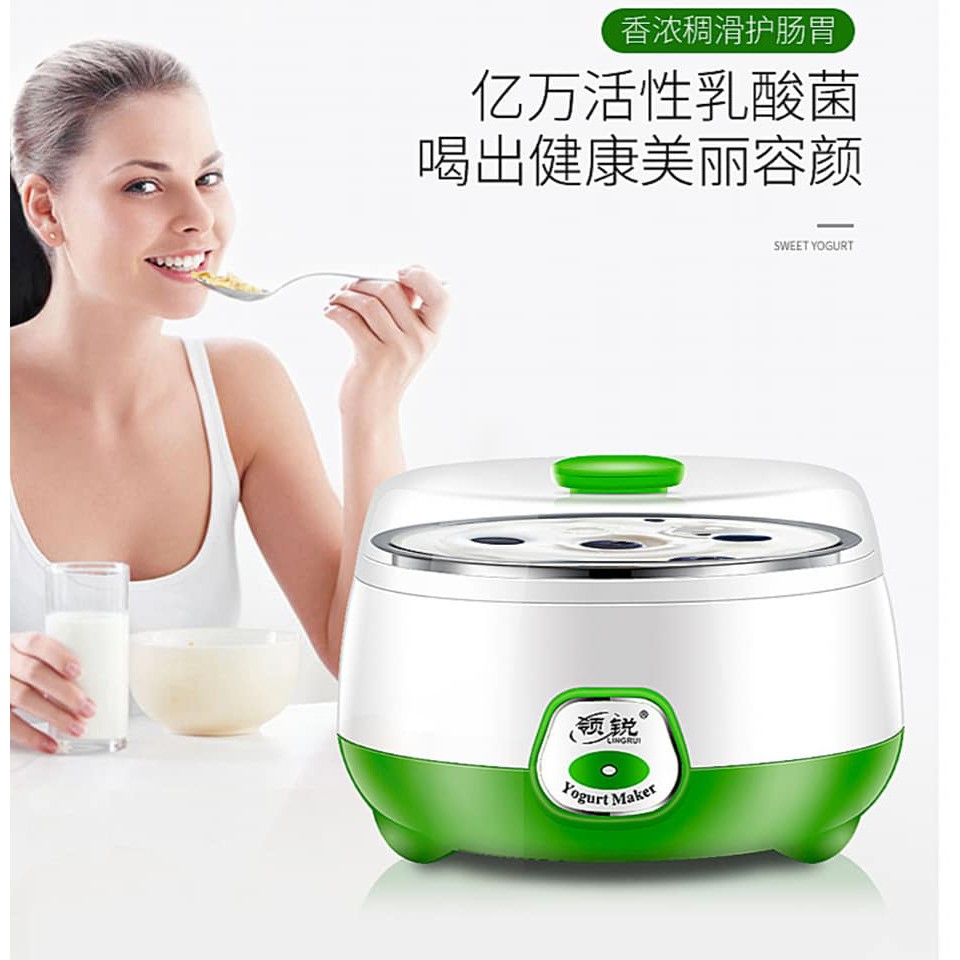 Yogurt Maker 1L / Yogurt Machine 酸奶机纳豆米酒机 Color Random