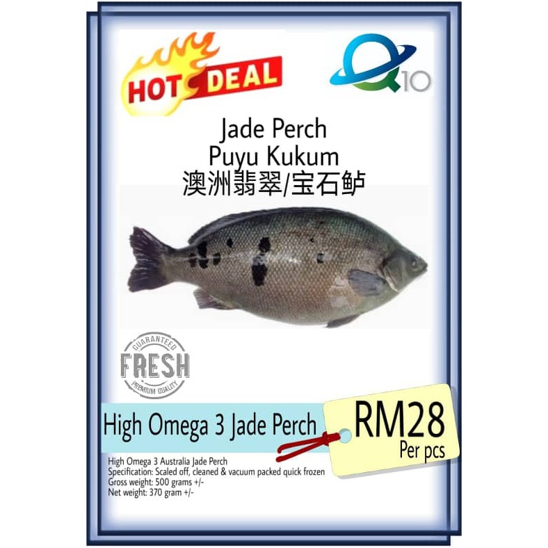 In perch malay fish Barramundi