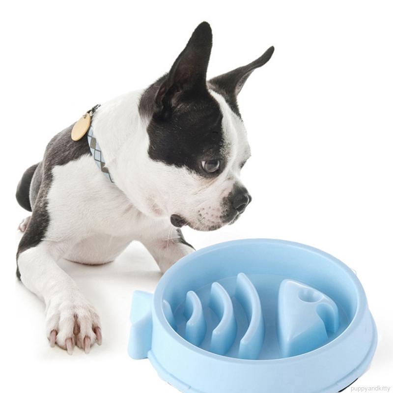 target slow feed dog bowl