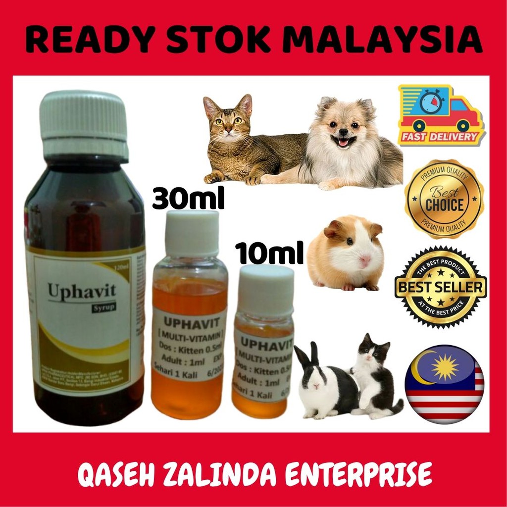 Vitamin Selera Makan Kucing Uphavit