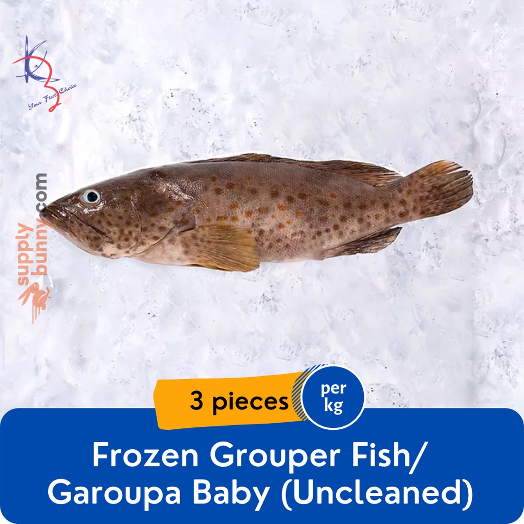 Grouper Fish/ Garoupa Baby Fish 3pcs Uncleaned (900g-1kg)  (sold per kg) 小石斑鱼 Ikan Kerapu - Kaizer Frozen Seafood