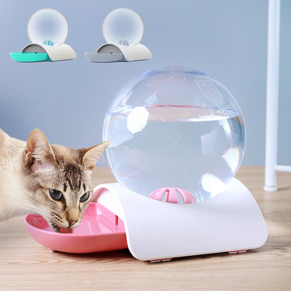 automatic drinking fountain for cats
