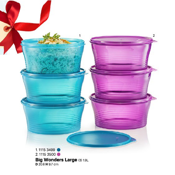 ⭐Tupperware Big Wonders Large bowl Set 1.9L