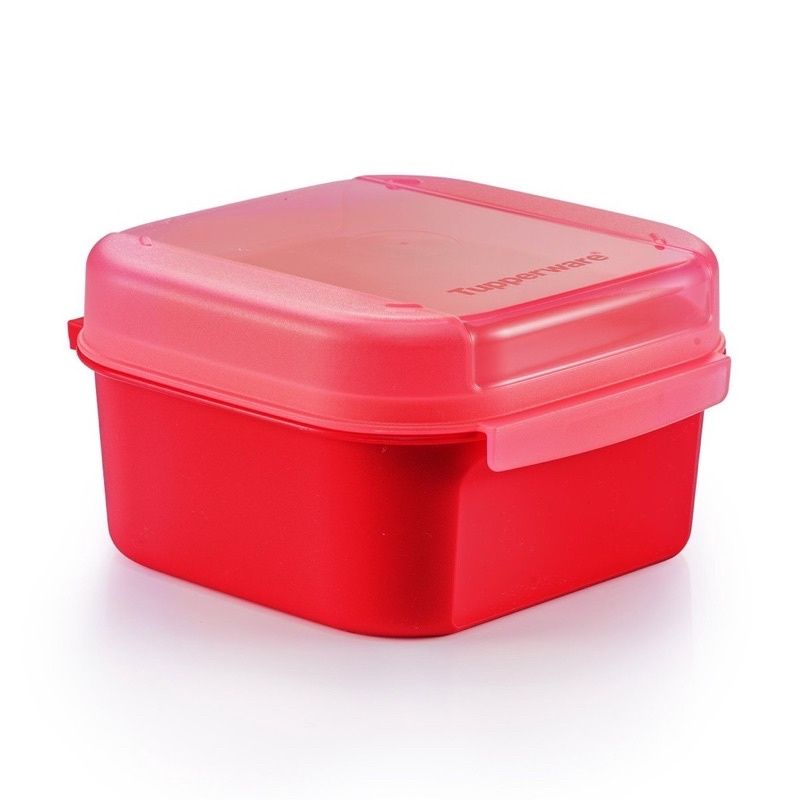 Tupperware Mini Signature Line - Small Ezy Keeper 450ml | Shopee Malaysia