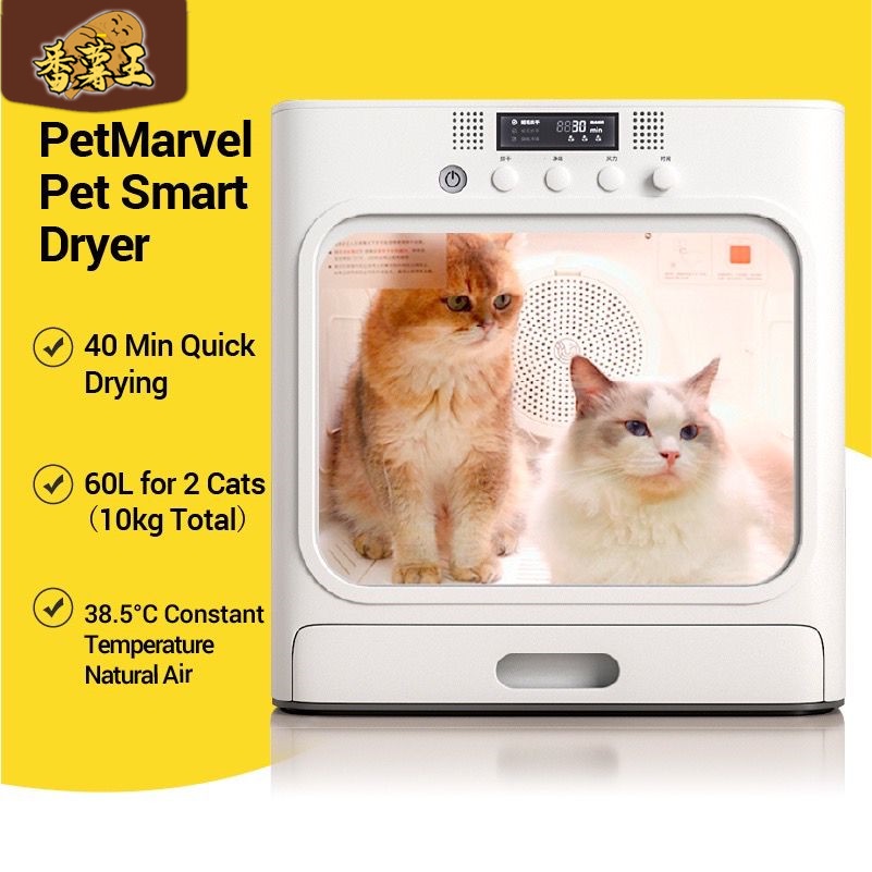 Buy cat Online With Best Price, Feb 2023 Shopee Malaysia