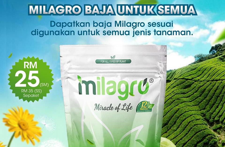 EASY PAINT JITRA, Online Shop Shopee Malaysia