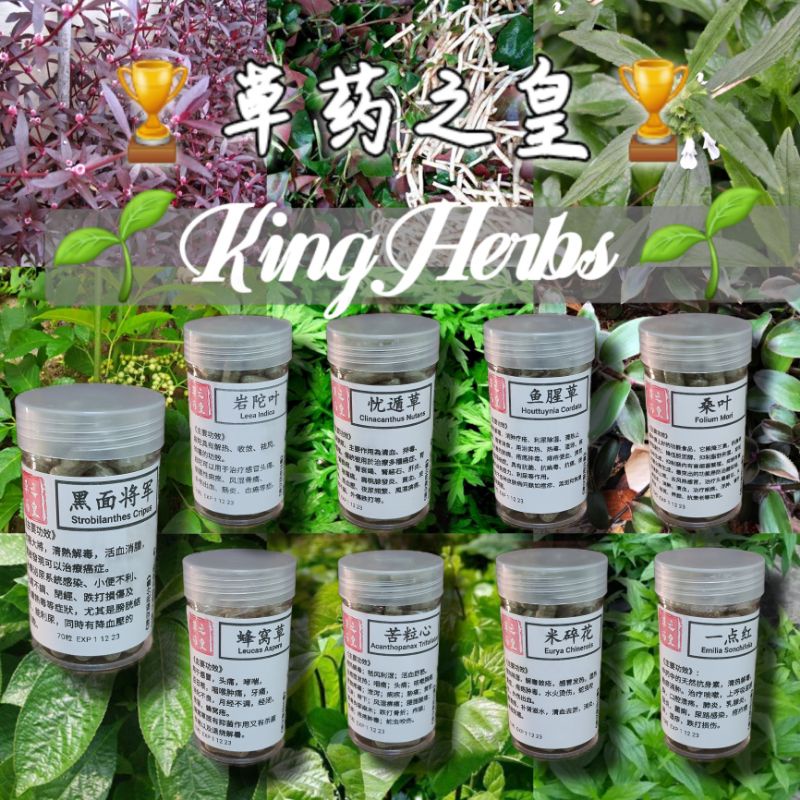🌐草药之皇-KingHerbs🌱 Traditional Chinese Herbs No1 🏆