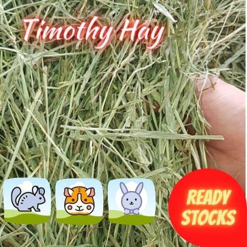 Premium USA Timothy Hay (1KG/500G) Guinea pigs / Rabbits / Chinchillas