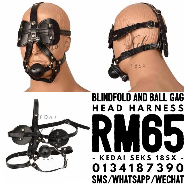 Ball Gag Harness