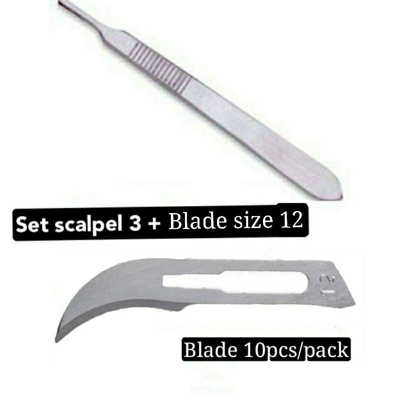 Stainless steal Surgical Scalpel Handles No 3 with blade | Shopee Malaysia