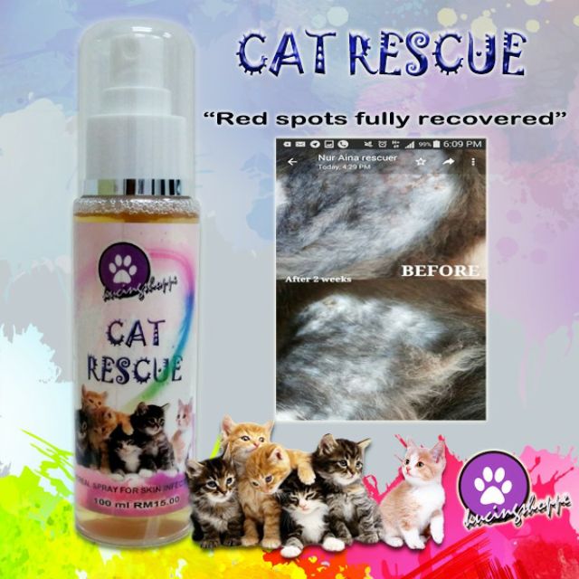 SPRAY UNTUK BULU KUCING KULIT KUCING KESIHATAN KUCING VITAMIN 