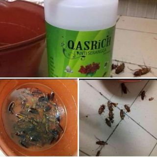 Qasrich (tiada bau dan bukan racun) 500ml ubat serangga 