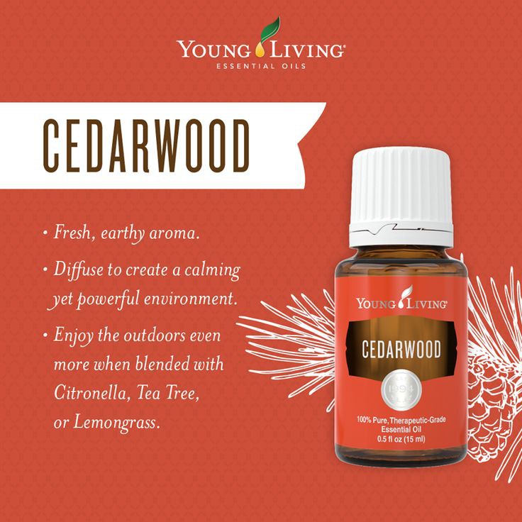 Young Living Cedarwood Essential Oil 15 ml Shopee Malaysia